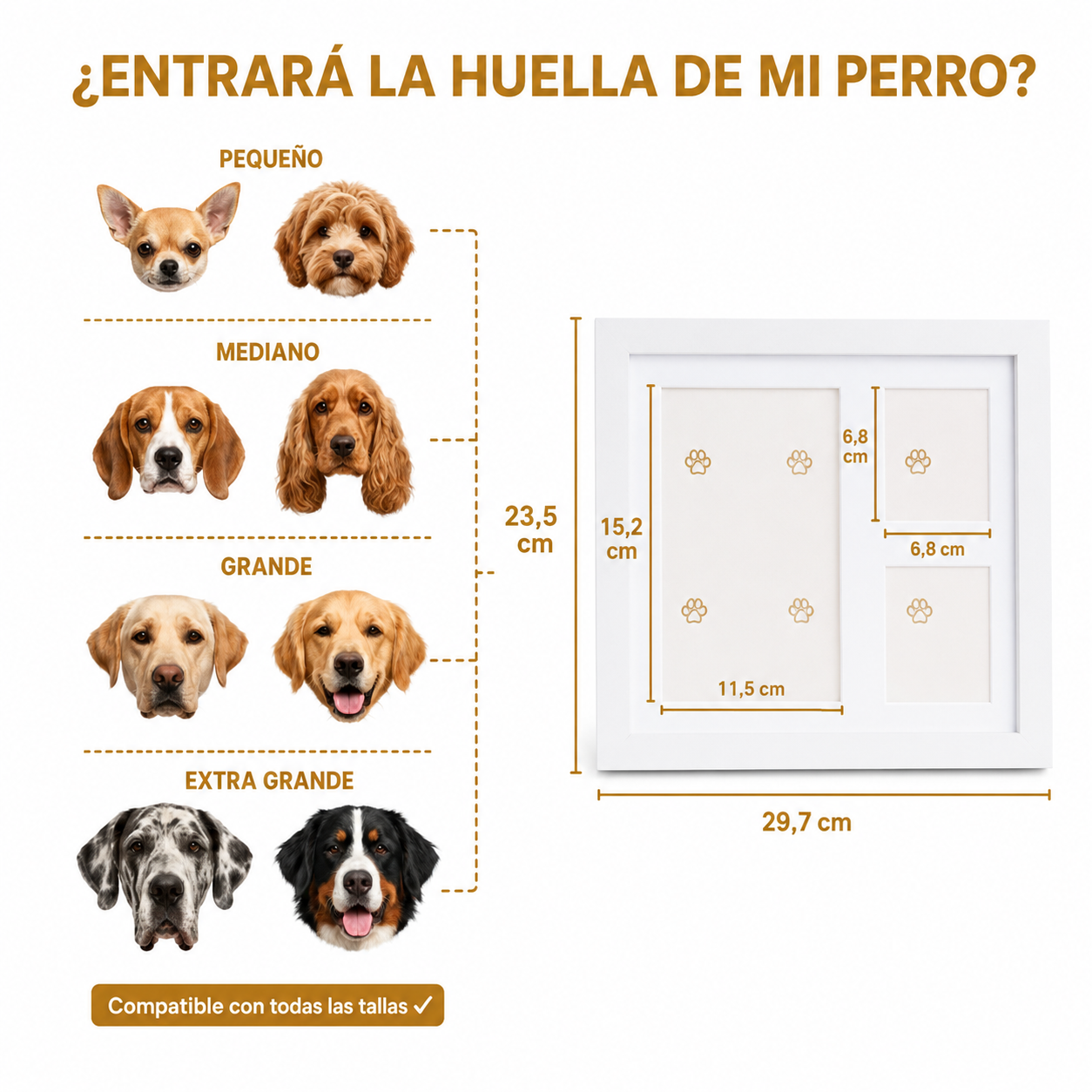 Marco de arcilla con huella de perro